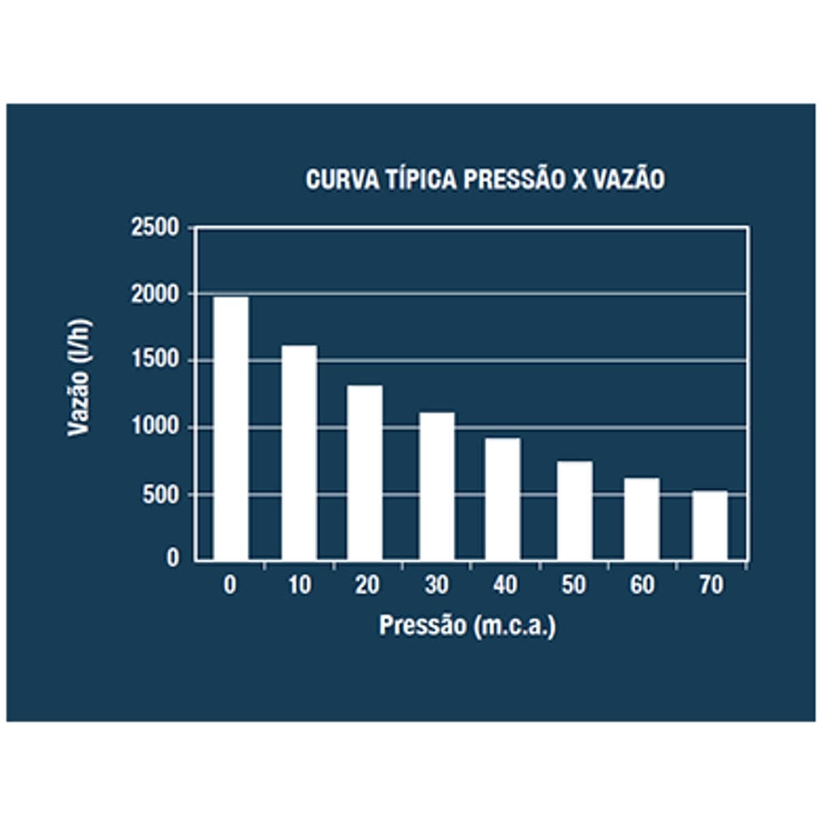 Bomba Submersa Lorenzetti Bsl-800 Monofásica 110v - Imagem 2