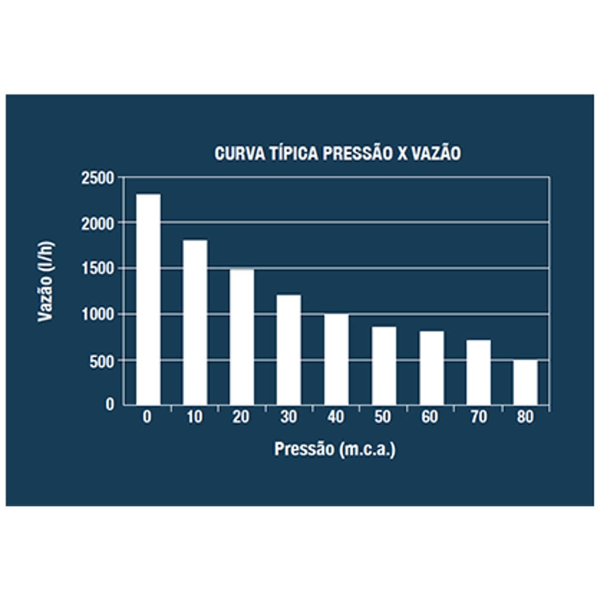 Bomba Submersa Lorenzetti Bsl-900 Monofásica 110v - Imagem 2